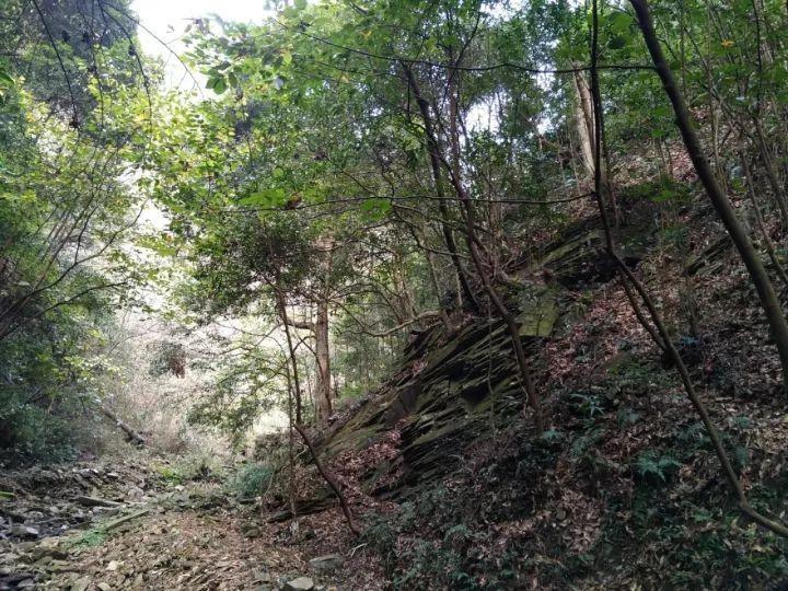 这种怎么回复?,解开疑问